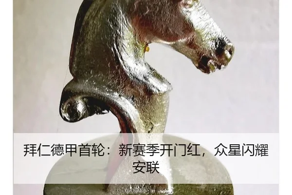 bai-ren-de-jia-shou-lun-xin-sai-ji-kai-men-hong-zhong-xing-shan-yao-an-lian-2-406.jpg